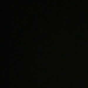 Meet your Posher, Brody